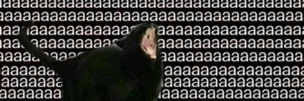notprahsnire's profile banner image