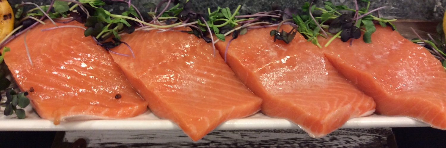 Stephan Schulz banner