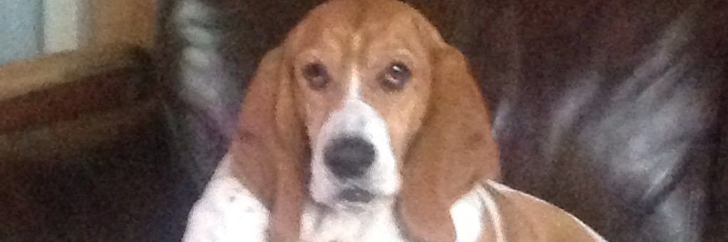 Michelle Depot banner