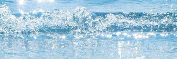 fifihime Profile Banner
