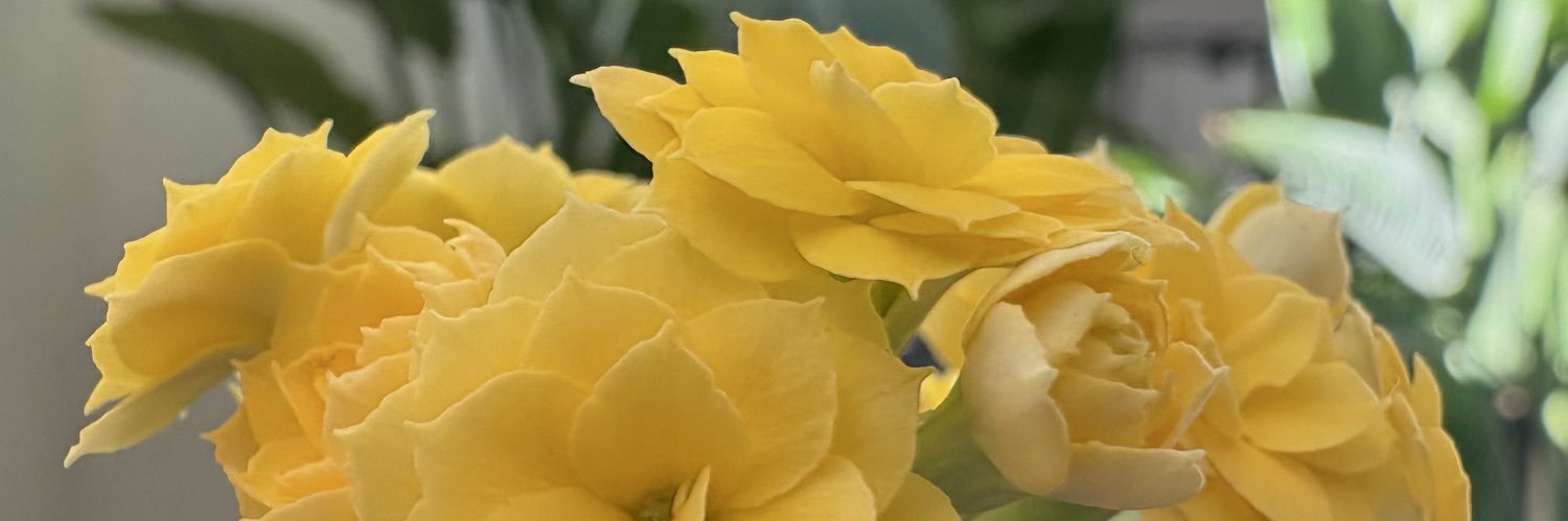 Jason Dowling banner