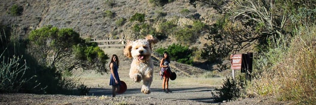 Oleg Chumakov banner