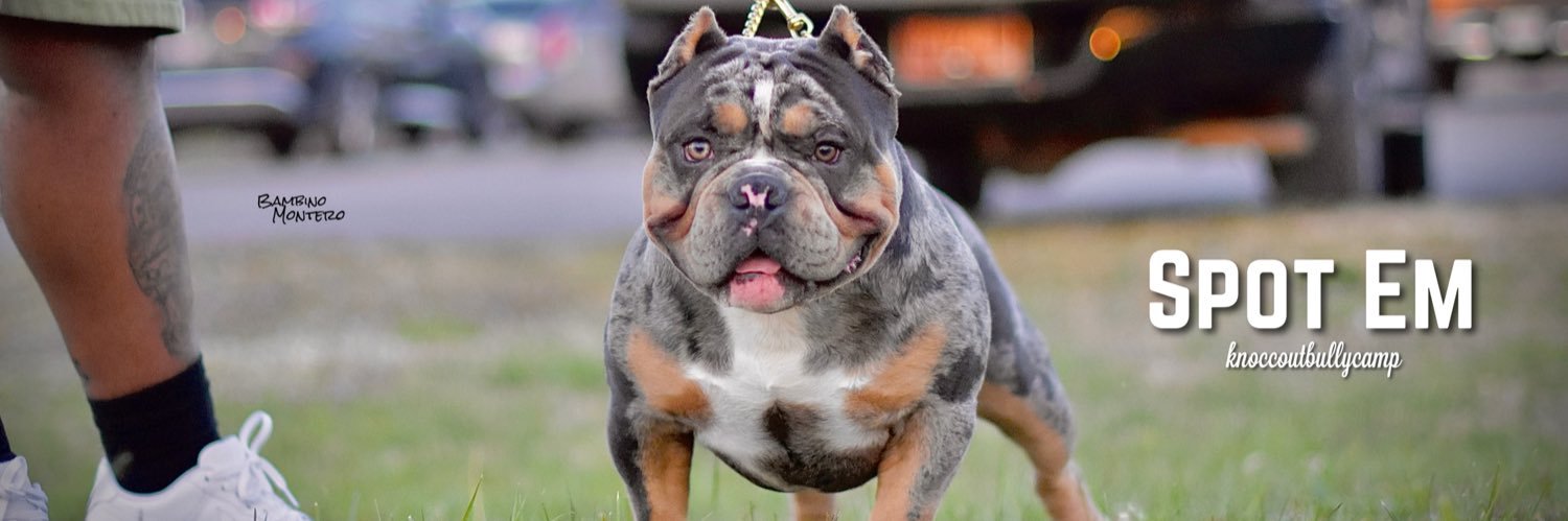 BikeLifeTyson's profile banner image