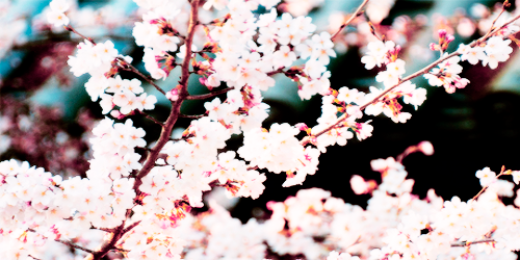 bridgitlovesme's profile banner image