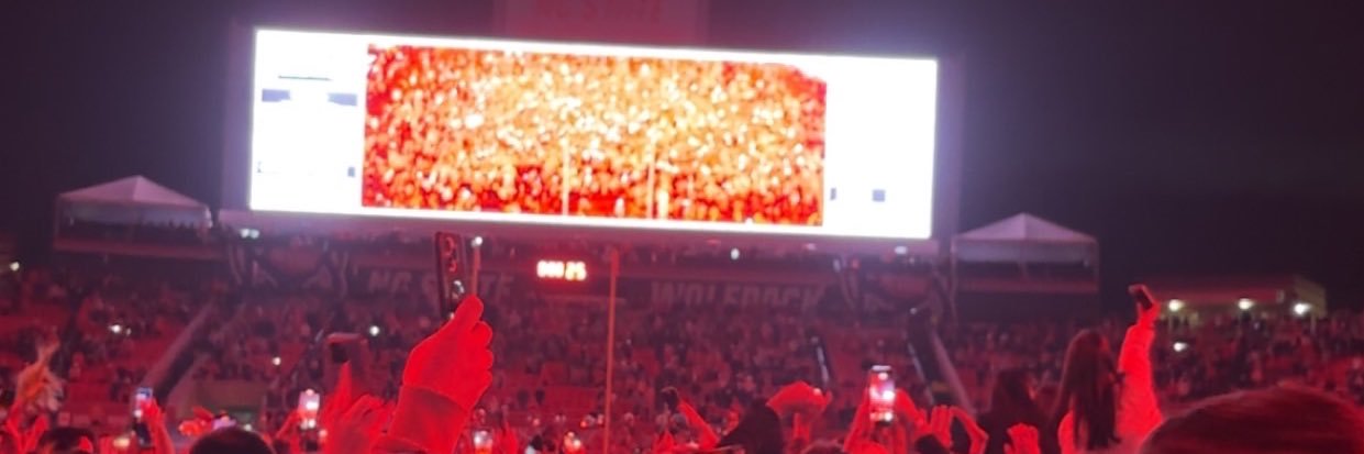 Davis Horton banner