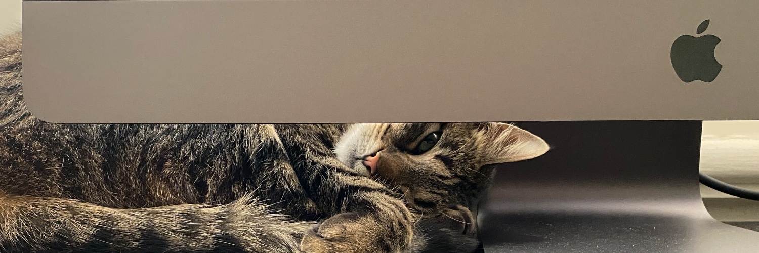marysmallfry's profile banner image