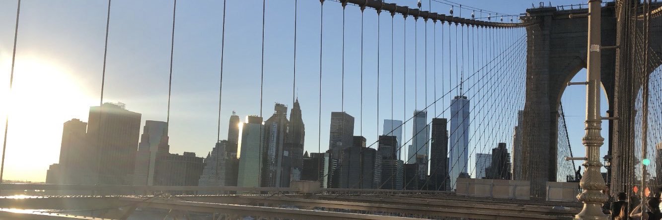 Majdoline Jayoushe, MD banner