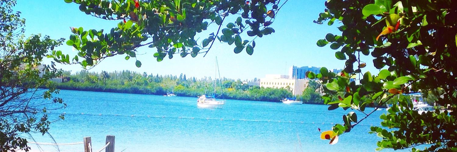 andreorea's profile banner image