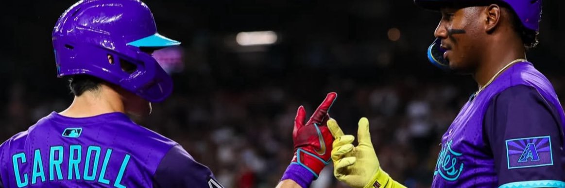 Sadge suns fan banner