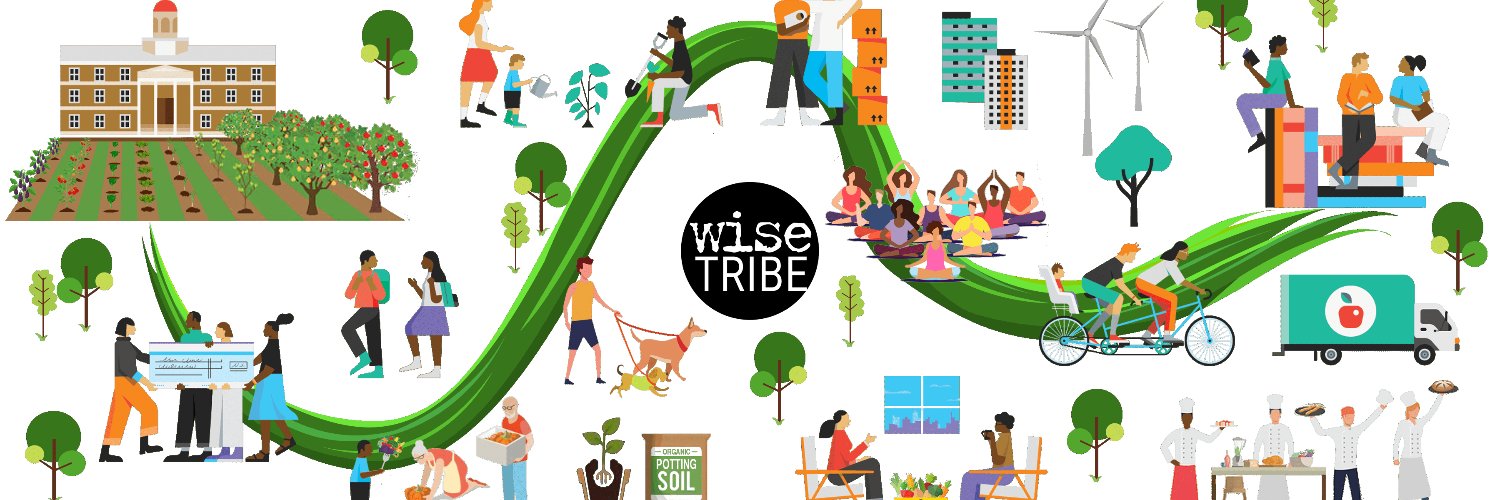 WiseTribe banner