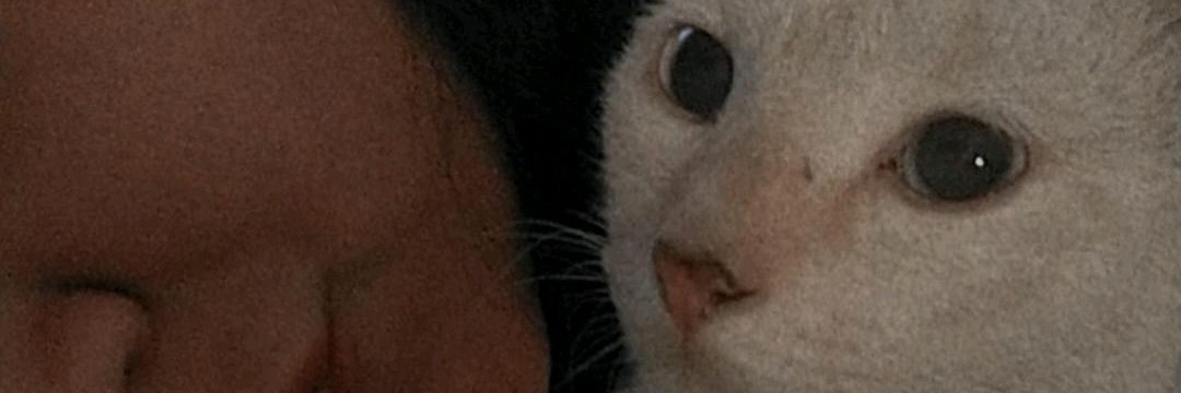 frida_Lohka's profile banner image