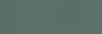 Holly Taylor Coolman banner