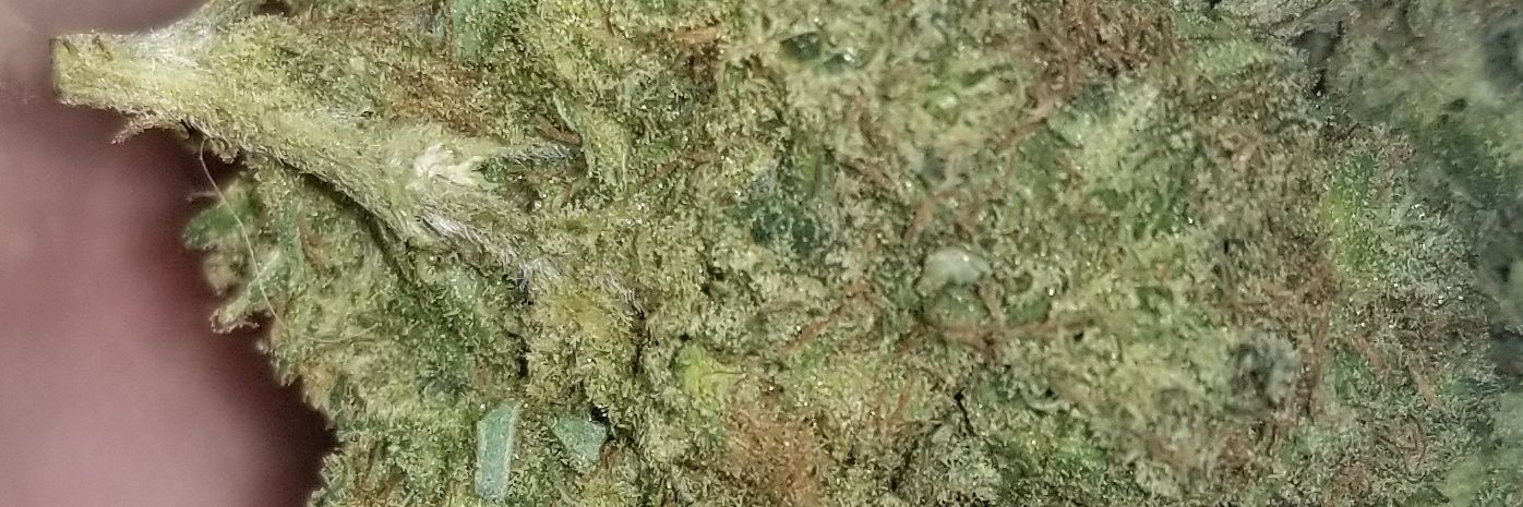 Jo Sue (smokes mids) banner