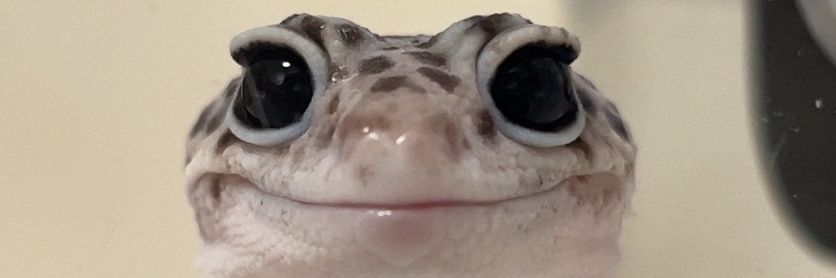 beans_rep's profile banner image