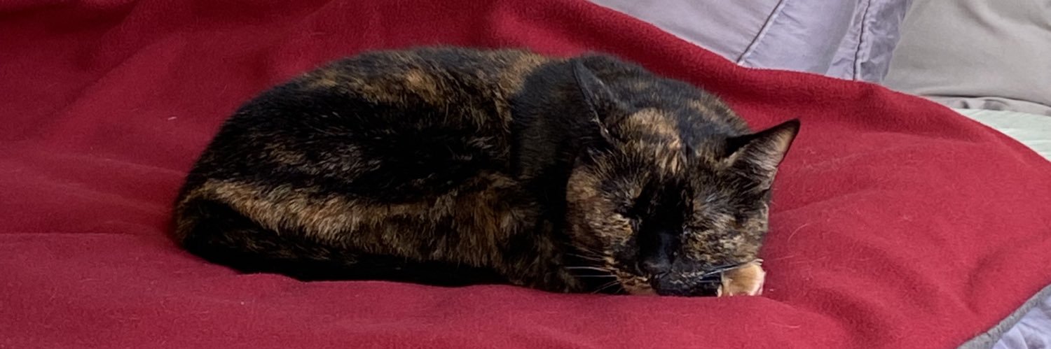 PlankJasmine's profile banner image