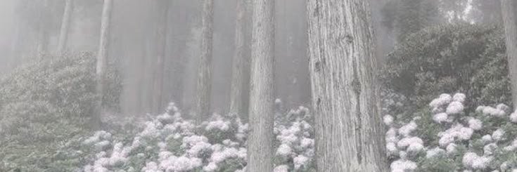 twtl's profile banner image