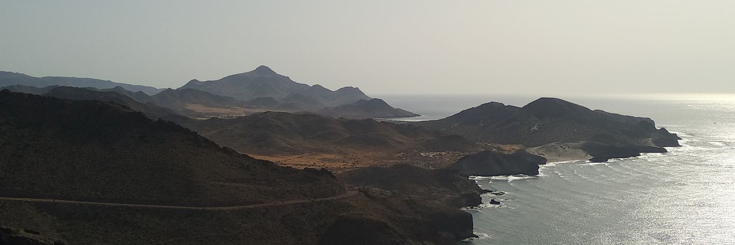 Javi Menezo banner