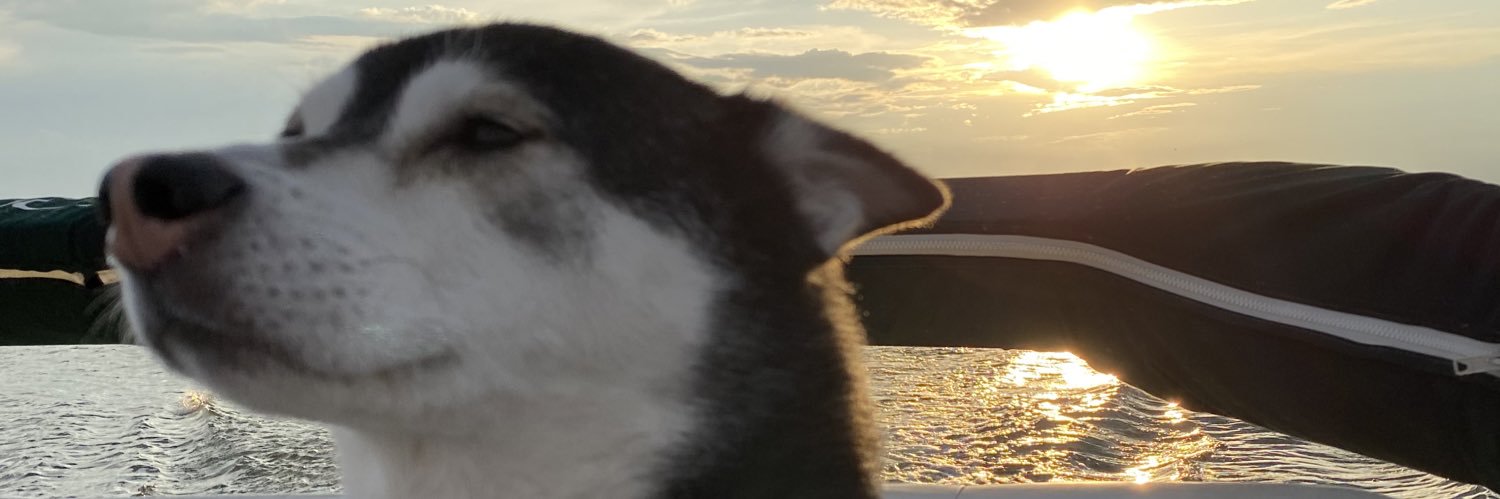 Trevor Perry 🛫 banner