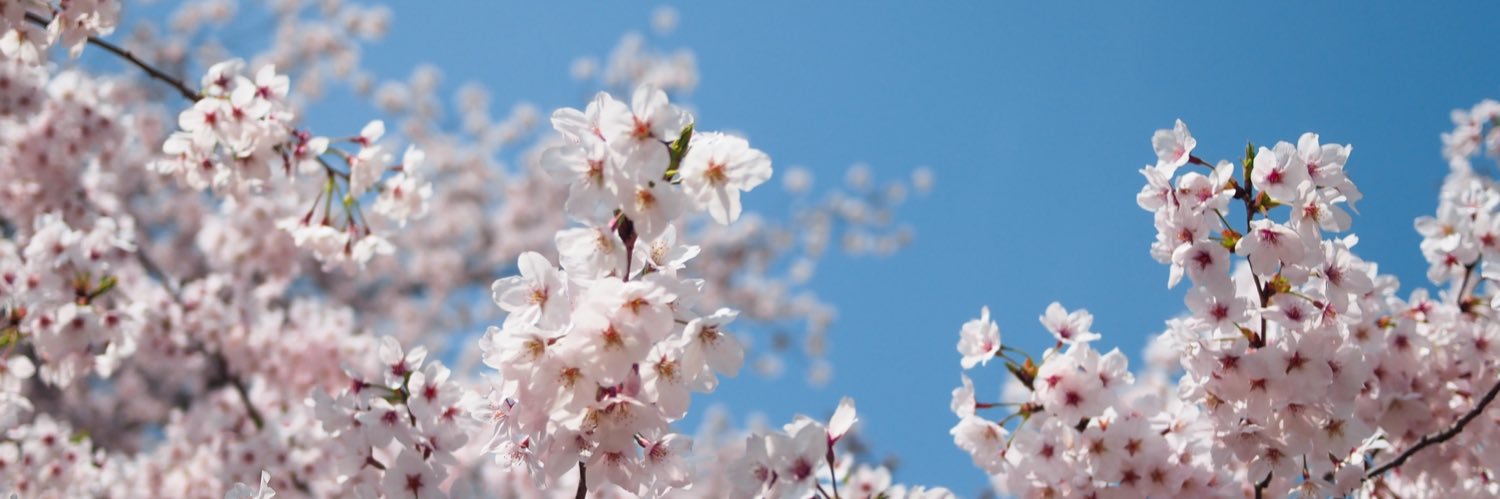 José Daniel Alvior banner