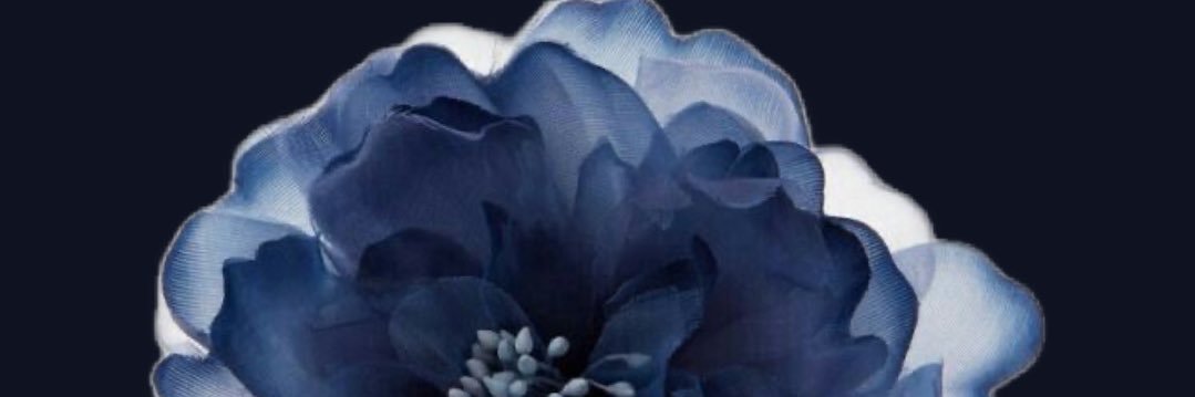 nlf9698's profile banner image