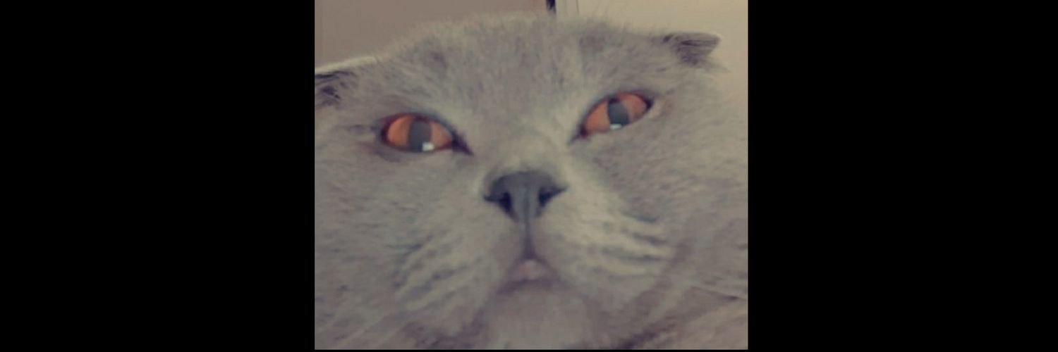 yareenerenn's profile banner image