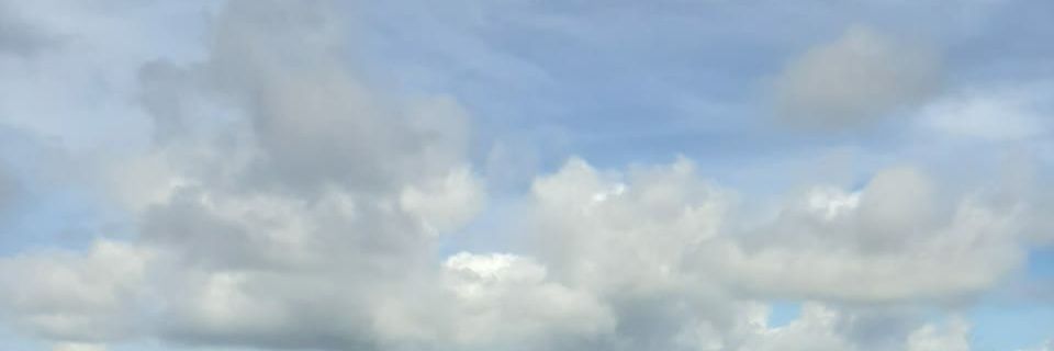 puspitarena's profile banner image