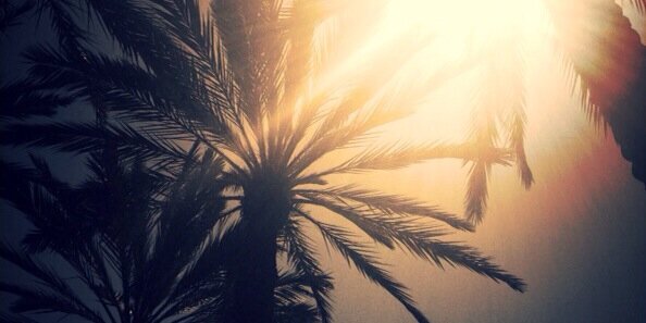 G banner
