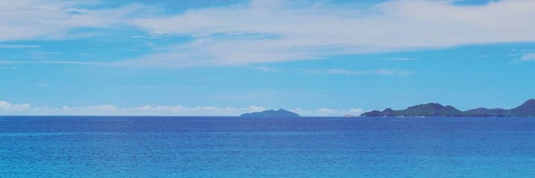 malinadarus's profile banner image