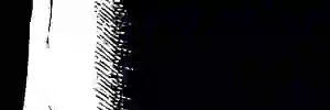 _LittleMills_'s profile banner image