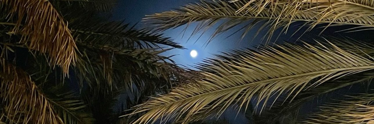 ديما هـ آل الشيخ banner