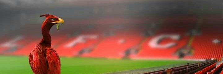 Ju'. 🇪🇸 banner