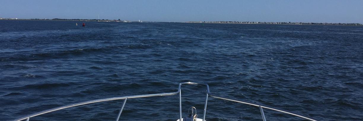 Jennifer Lewis, MD MPH banner