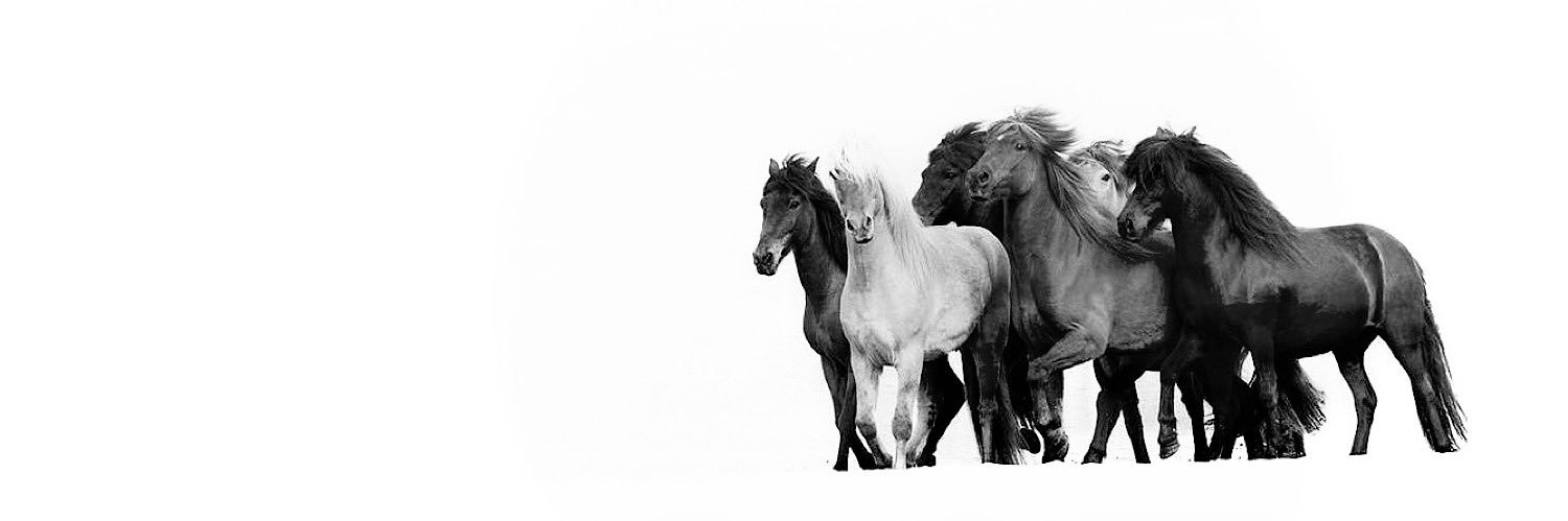 Tala6l's profile banner image
