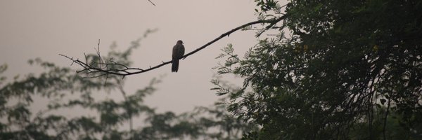 TITASHMUKHERJE2 Profile Banner