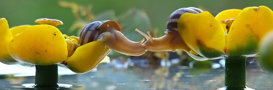 battered jesse pinkman funko pop banner