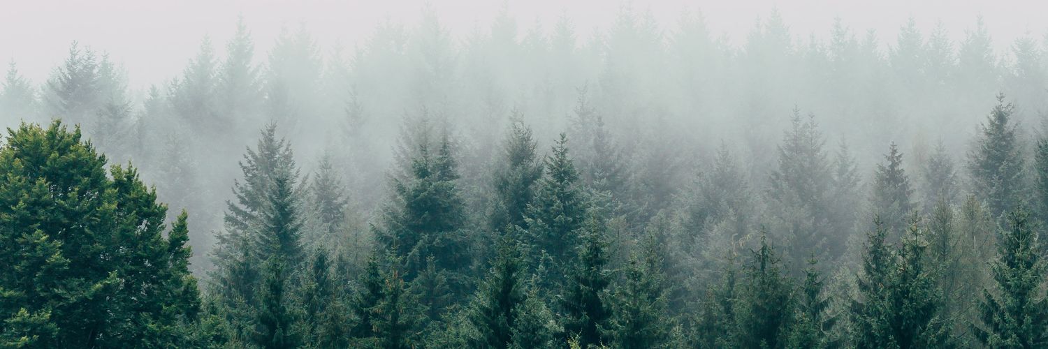 Threadhorror banner