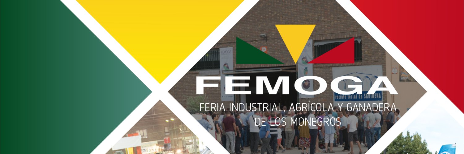 FEMOGA SARIÑENA banner