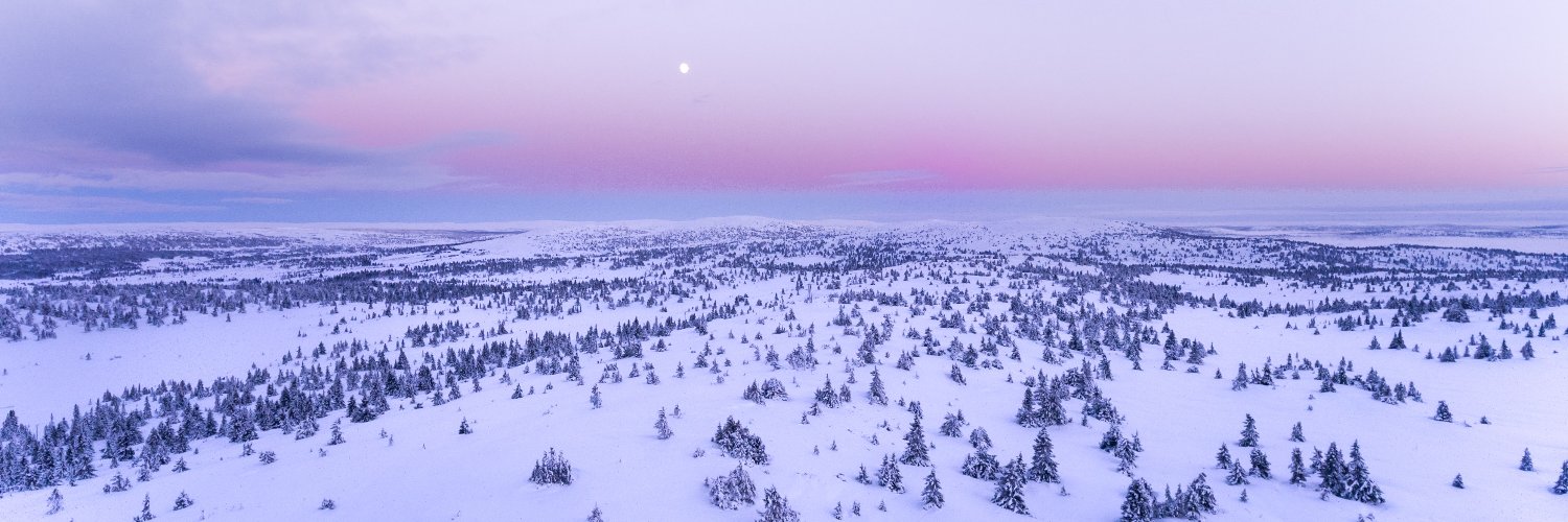 mariellebrsl's profile banner image