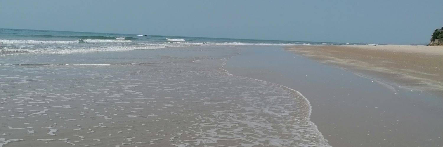 Sarah Hanffou banner