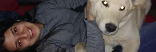 MaalenaCont's profile banner image