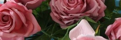 lacaribea's profile banner image