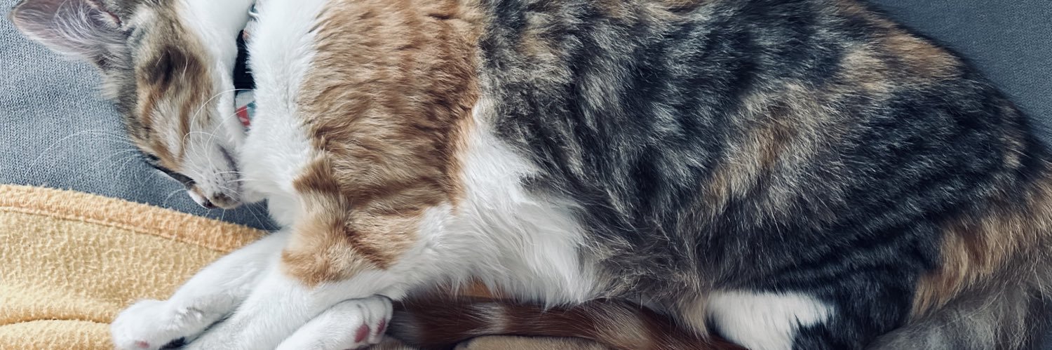 Joanafi73's profile banner image