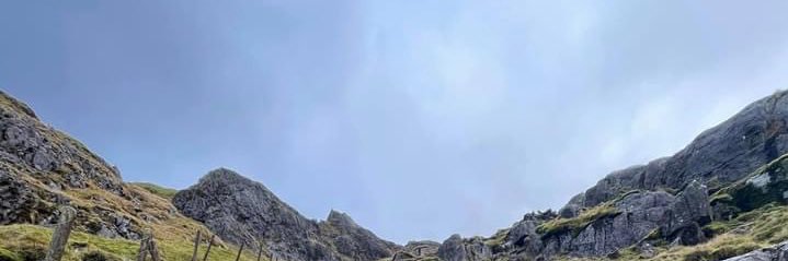 MrsCNeill's profile banner image