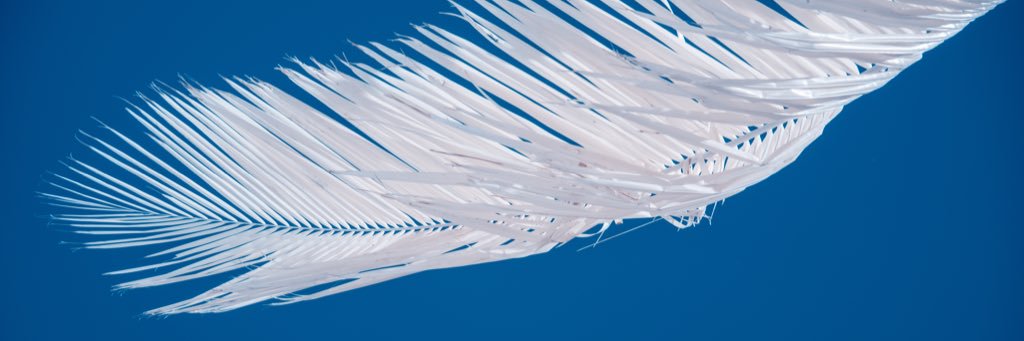 imageartifacts's profile banner image