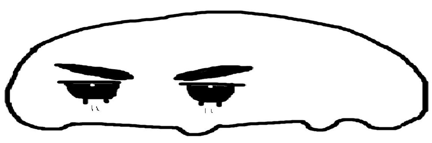 sei's banner