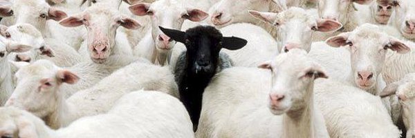 Errazkin Profile Banner