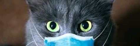 ComunaFuerza's profile banner image