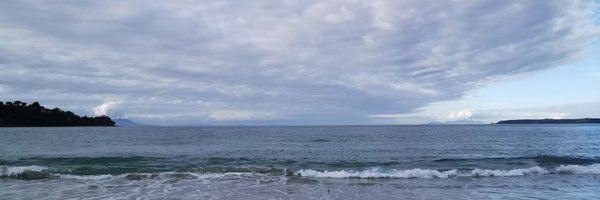 JinNg_1 Profile Banner