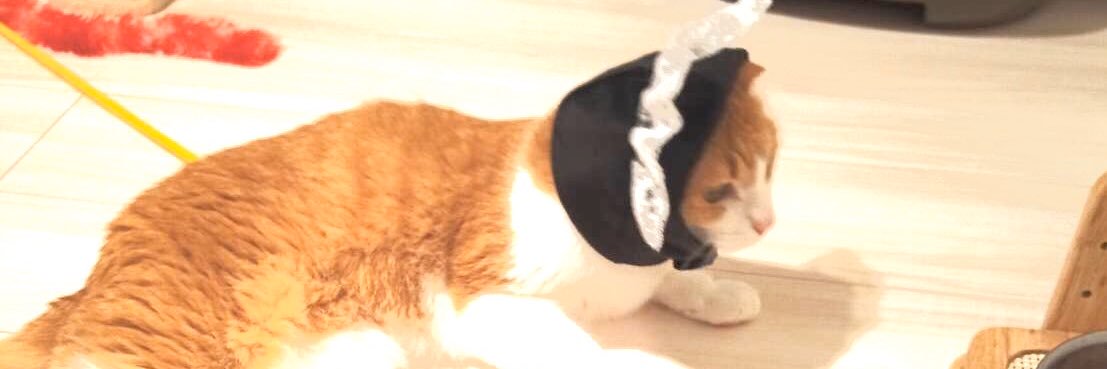 nayuta513's profile banner image
