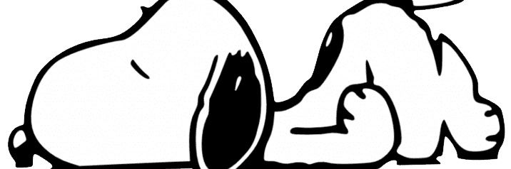 1Shiibou's profile banner image
